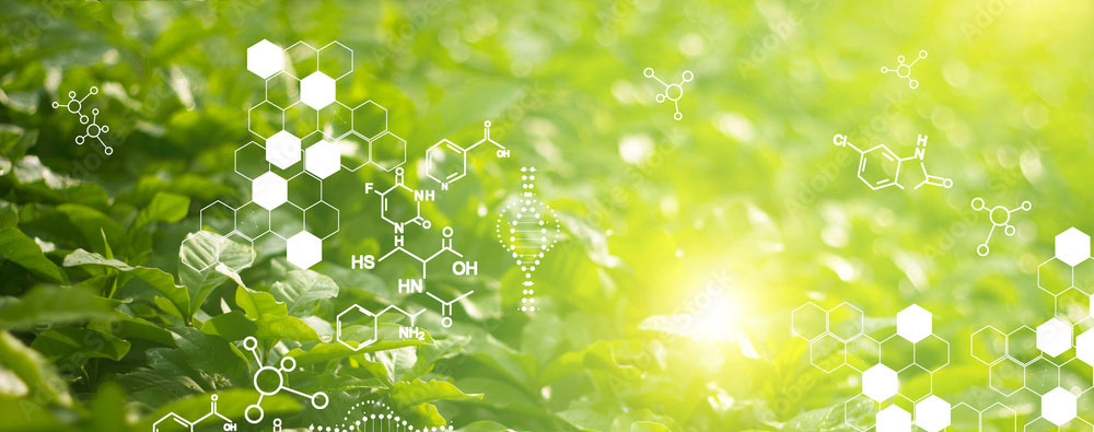 Investing in USDA REE to advance climate smart agriculture and nutrition security